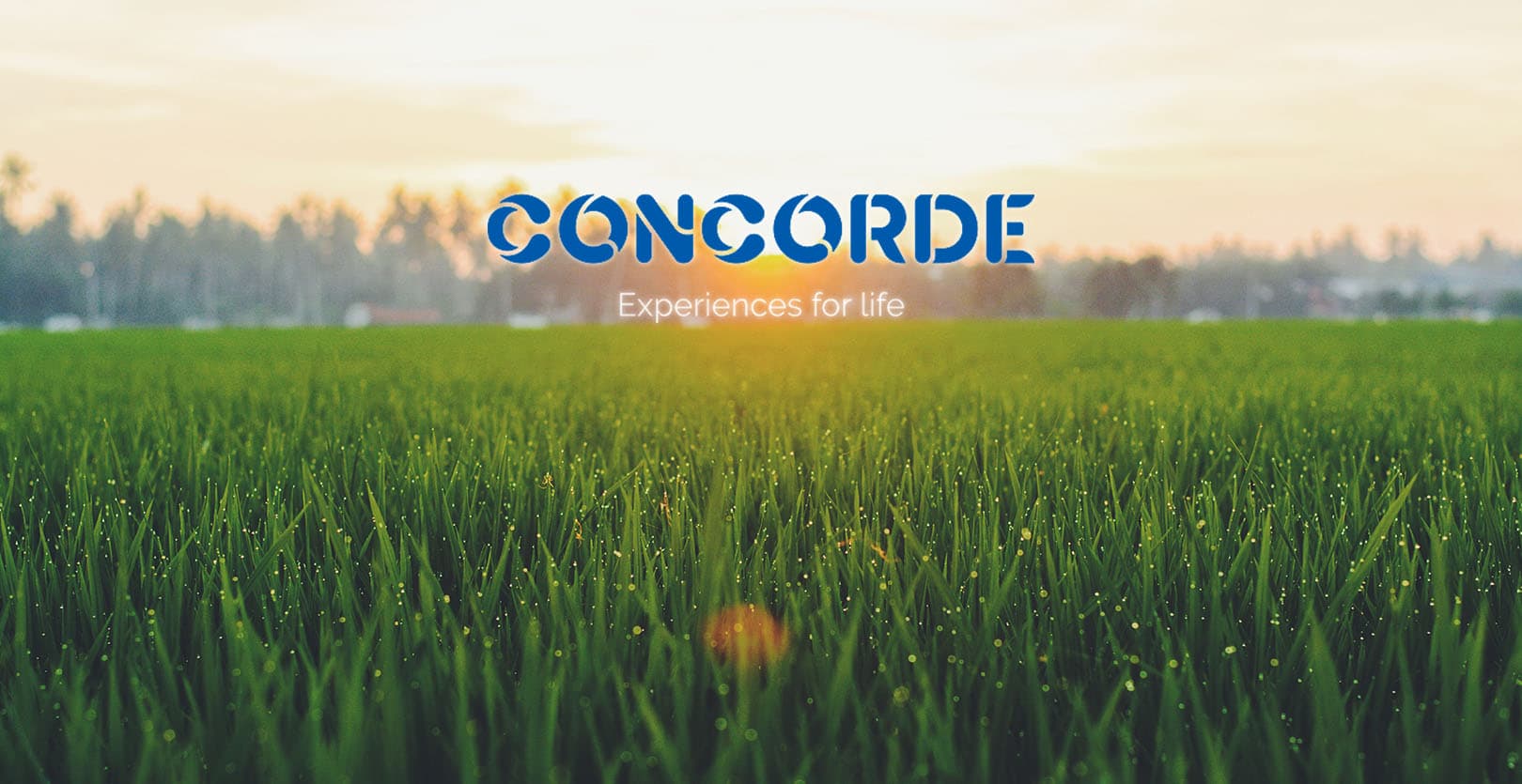 Concorde Equity Plots Malur
