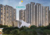 Elevation - Brigade Calista