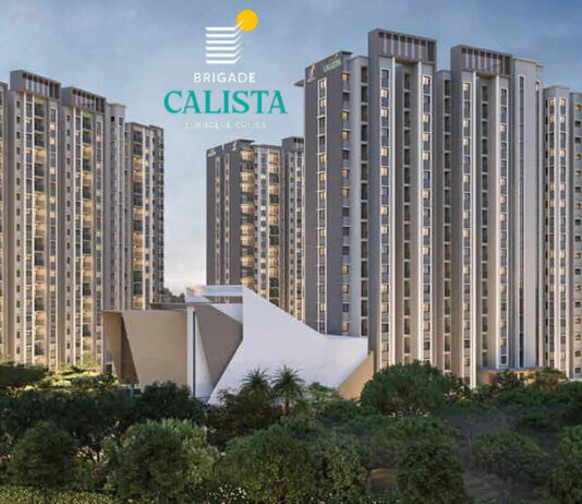 Elevation - Brigade Calista