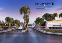 Enchante By Pacifica Enchante Plots