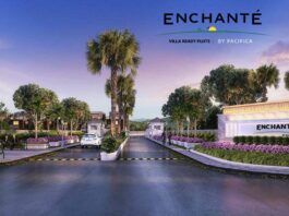 Enchante By Pacifica Enchante Plots