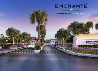 Enchante By Pacifica Enchante Plots