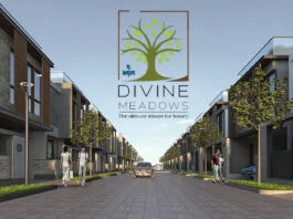 Divine Meadows Brochure