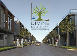 Divine Meadows Brochure