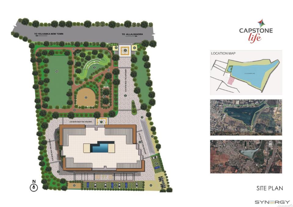 Master Plan - Capstone Flowing Tree