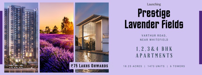 Prestige Lavender Fields Banner HNS