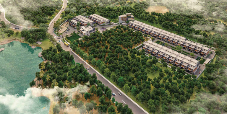 aerial saiven mulberry groves