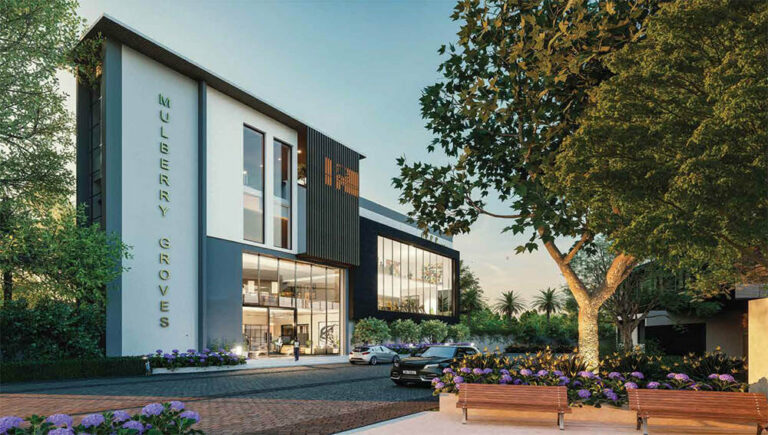 clubhouse saiven mulberry groves