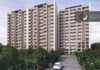 elevation main orchid platinum