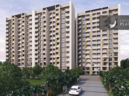 elevation main orchid platinum