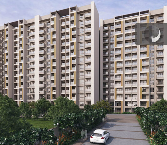 elevation main orchid platinum