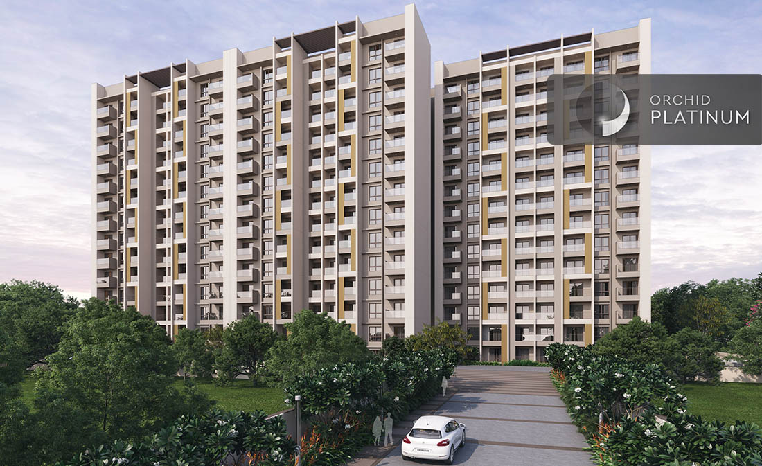 elevation main orchid platinum