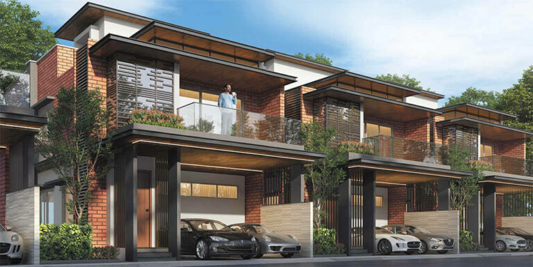 elevation a purva symphony