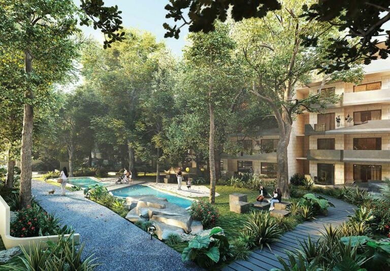 elevation b jrc wild woods