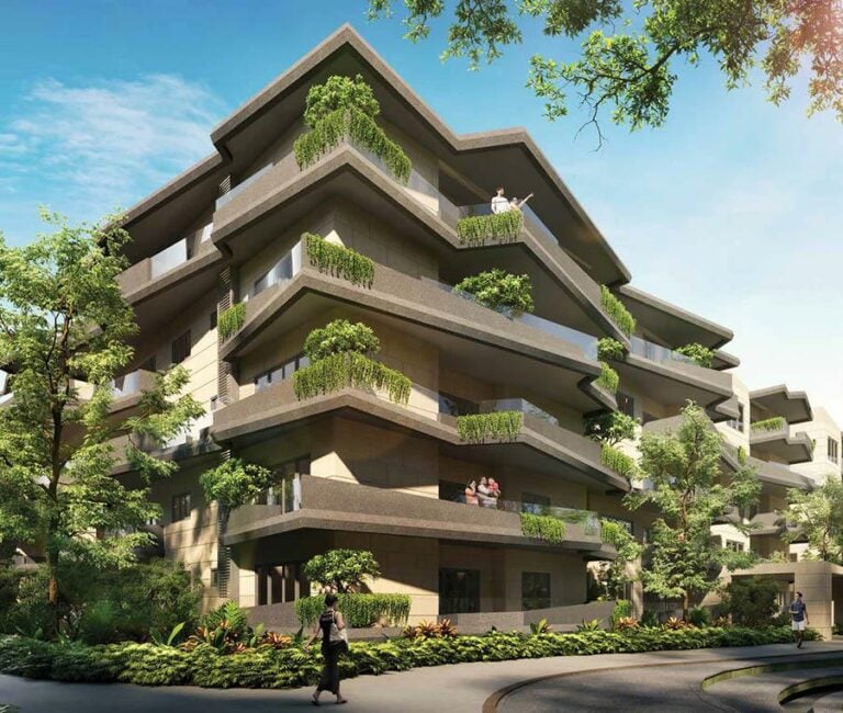 elevation f jrc wild woods