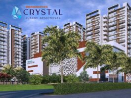 Elevation 4 - Bhanodaya Crystal