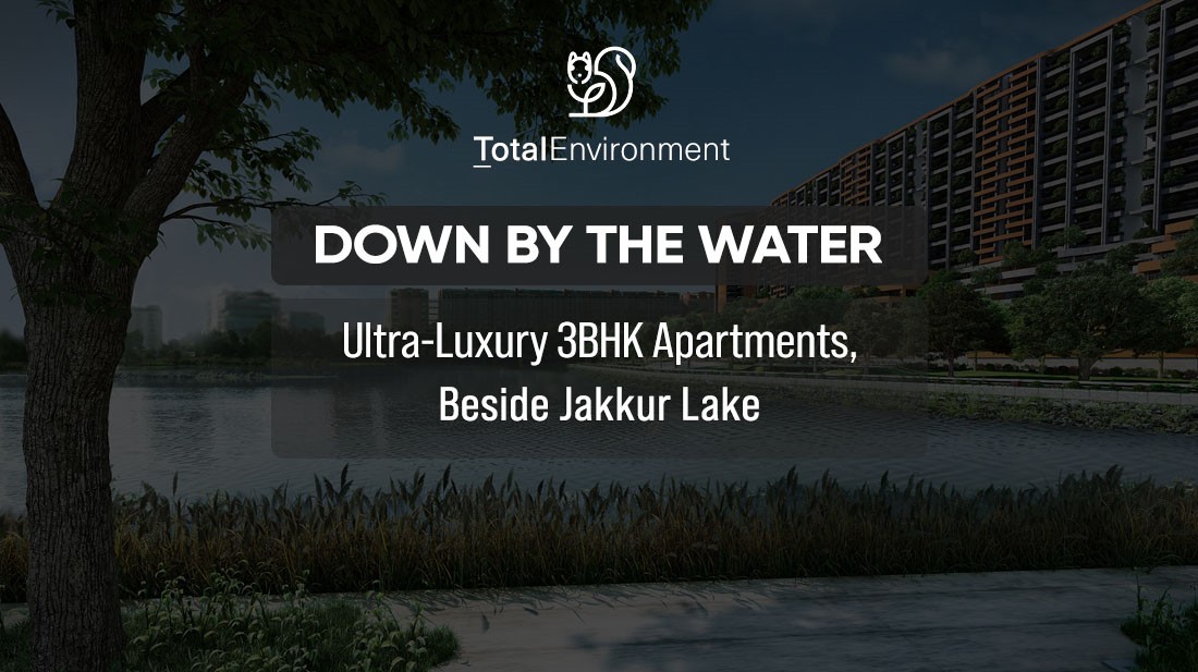 Main Elevation PH - Total Environment Down By The Water