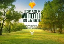 Luxury Plots In Whitefield PH Homz N Space