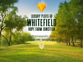 Luxury Plots In Whitefield PH Homz N Space