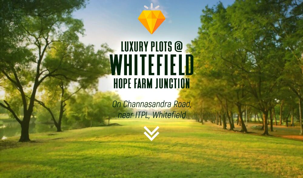 Luxury Plots In Whitefield PH Homz N Space