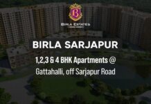 Birla Sarjapur Apartments PH Homz N Space