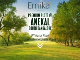 Guru Punvaanii Ernika Plots In Anekal PH Homz N Space
