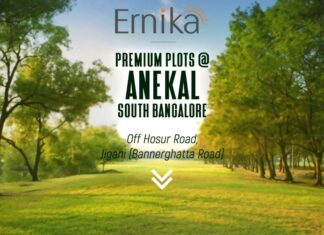 Guru Punvaanii Ernika Plots In Anekal PH Homz N Space
