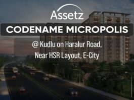 Assetz Codename Micropolis PH Homz N Space