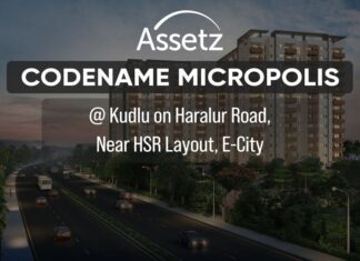 Assetz Codename Micropolis PH Homz N Space
