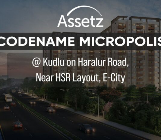 Assetz Codename Micropolis PH Homz N Space