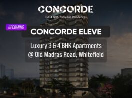 Concorde Eleve OMR PH Homz N Space