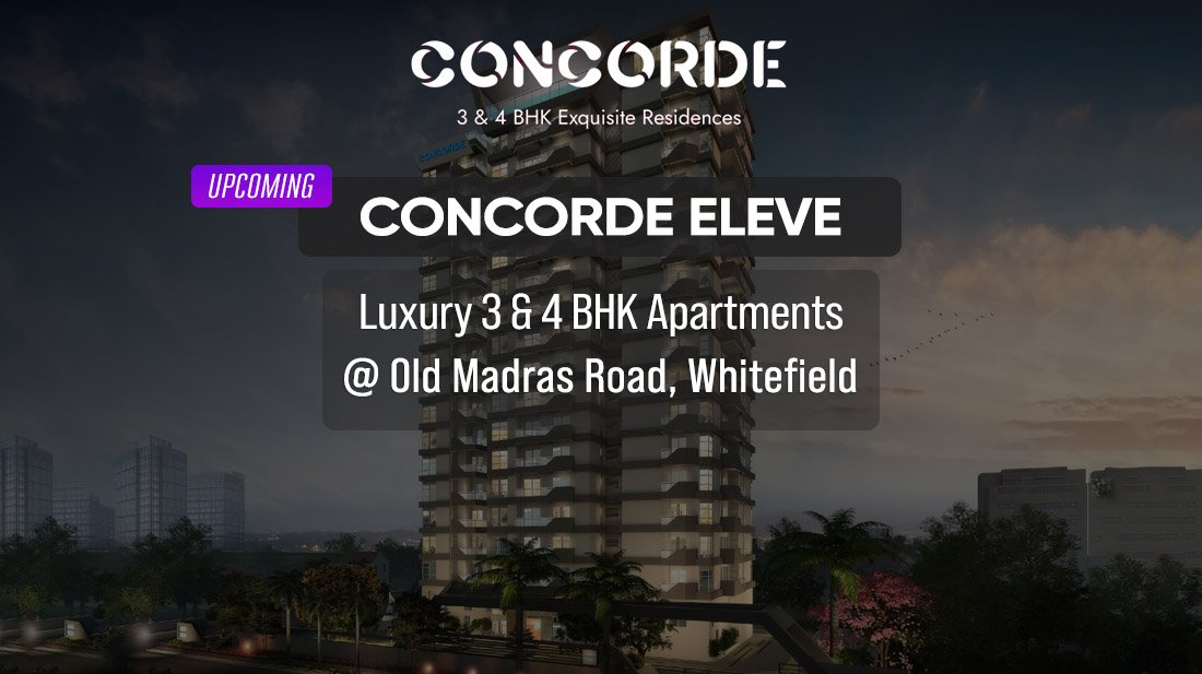 Concorde Eleve OMR PH Homz N Space