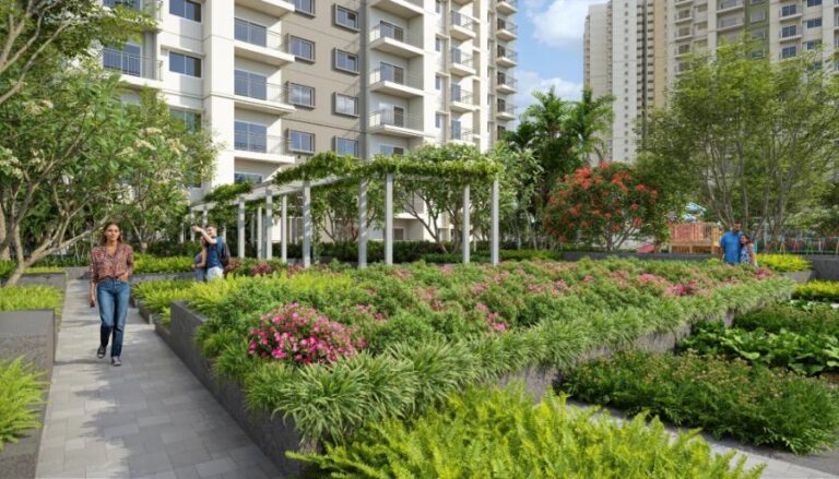 Elevation-I - Alembic Cloud Forest Whitefield