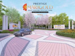 Main Elevation - Prestige Marigold Phase 2 Plots