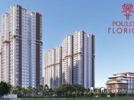 elevation main poulomi florique