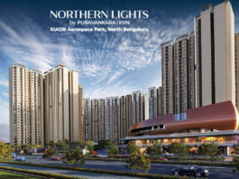 Main - Purva Northern Lights