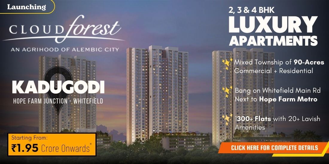 Alembic Cloud Forest