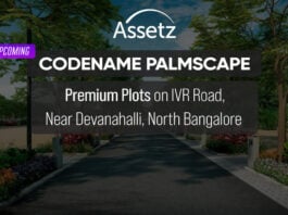 asstez codename palmscape plots ph homz n space