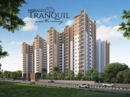 elevation main habulus tranquil ecity