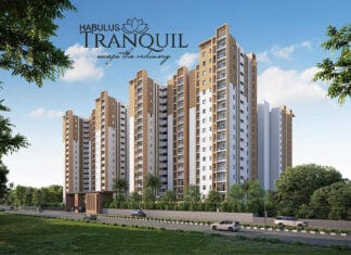 elevation main habulus tranquil ecity