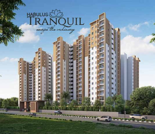 elevation main habulus tranquil ecity