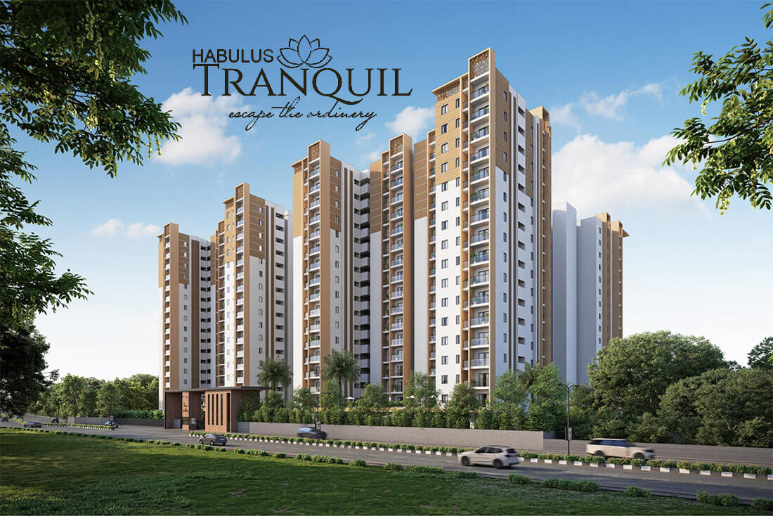 elevation main habulus tranquil ecity