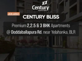century bliss ph homz n space