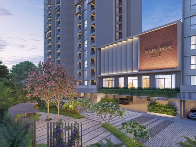 clubhouse orchid south park