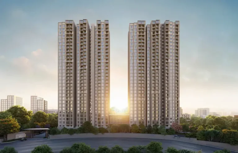 elevation a orchid south park