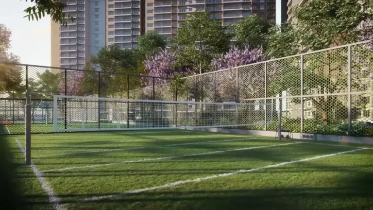 volleyball court keya the urban forest