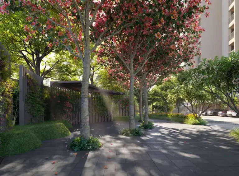 walkway orchid south park