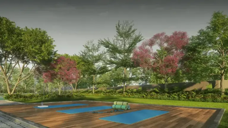 yoga zone the grand county address